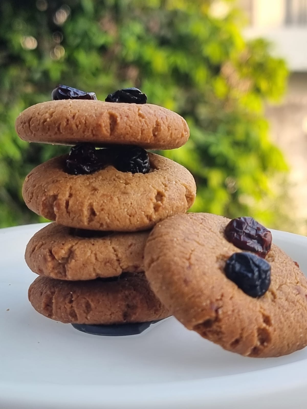 Millet Oats Berry Bites-250g